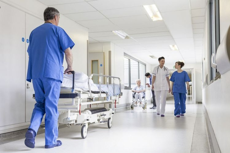 Ağcaqanadlardan öldürücü yeni epidemiya yayılıb
