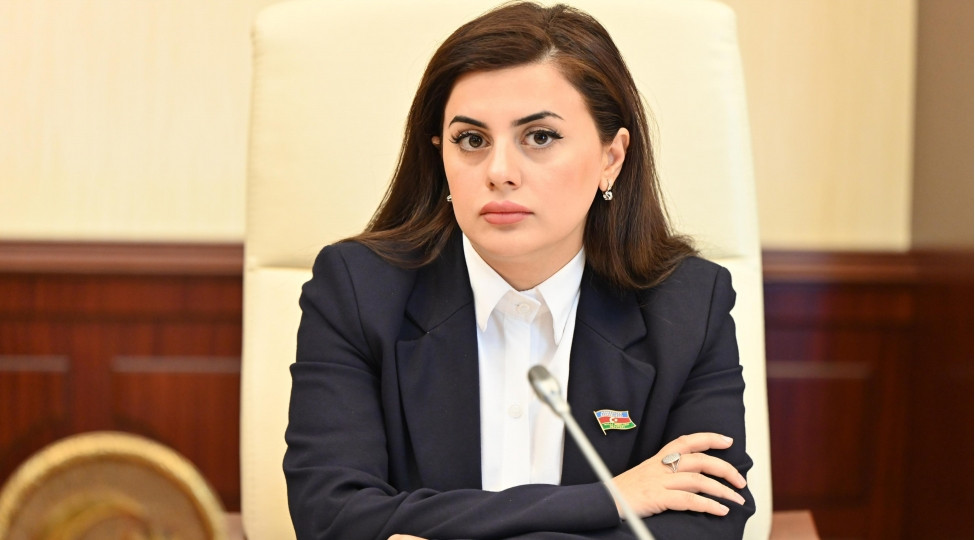 Ümummilli Liderin ana dilimizə qayğısı...