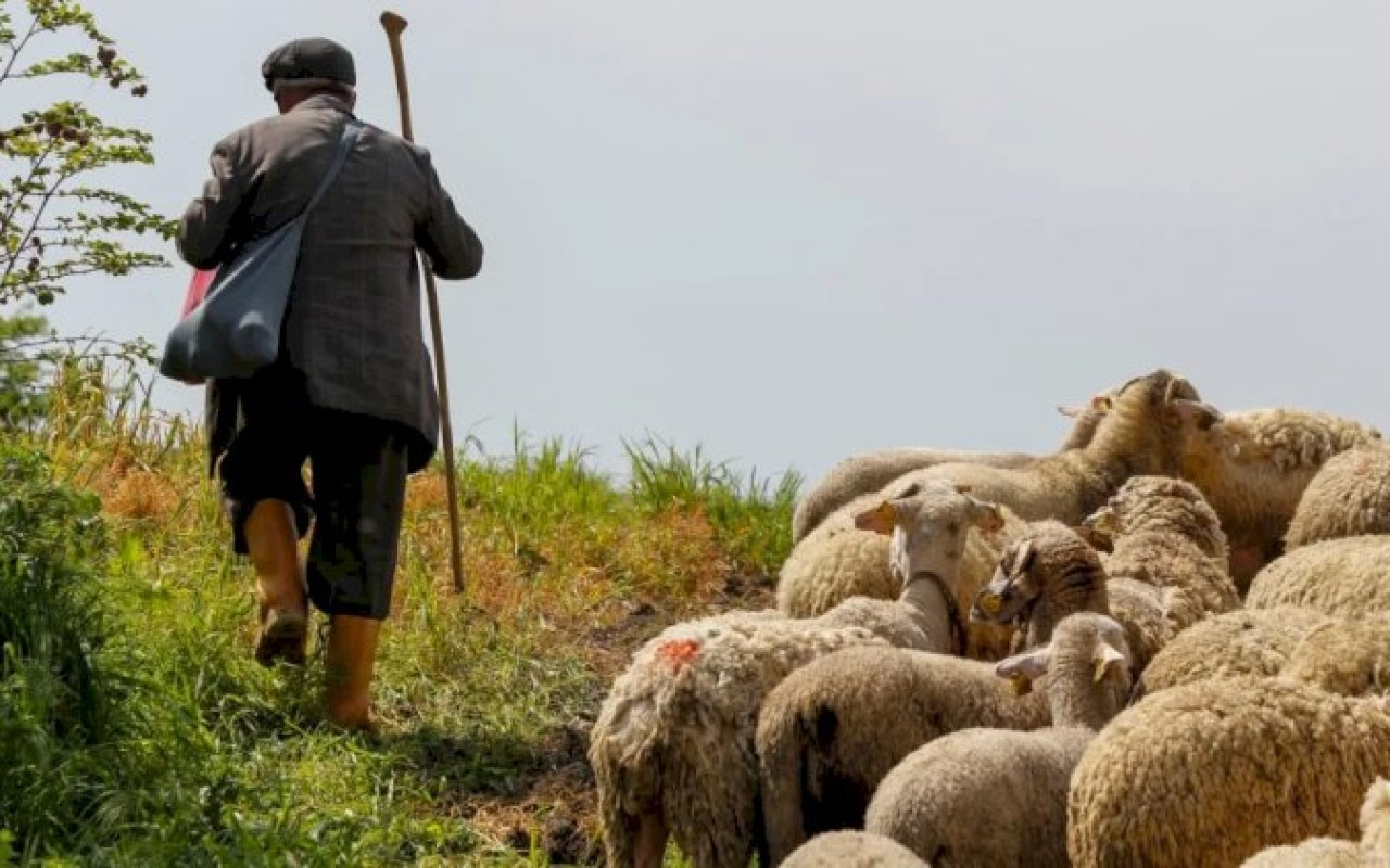 Ağdaşda çobanın meyiti tapıldı