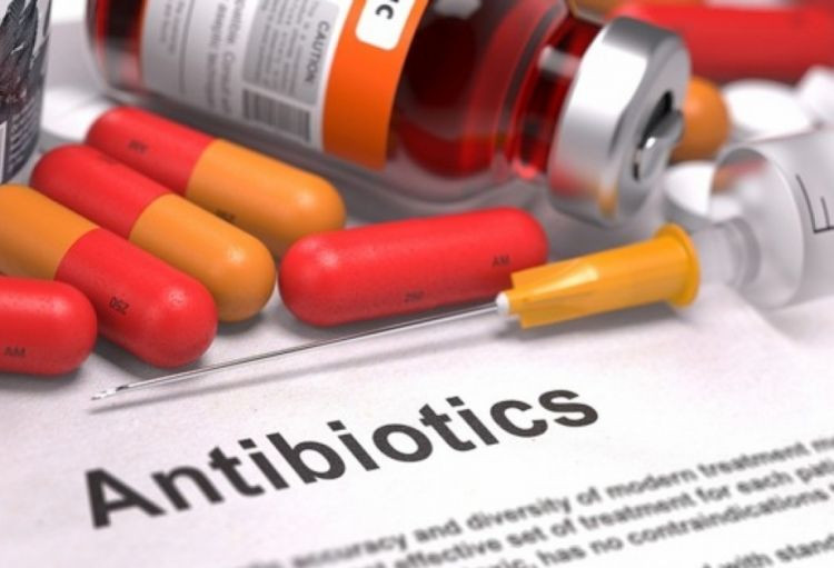 Superböcəklərə qarşı yeni antibiotik hazırlandı