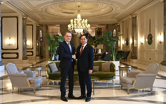 Ceyhun Bayramov vyetnamlı həmkarı ilə görüşdü