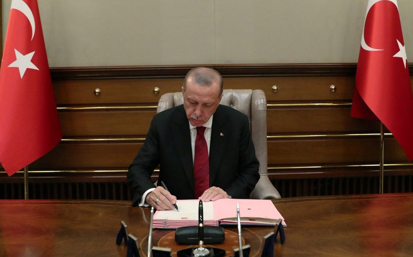 Ərdoğandan Azərbaycan diaspor təşkilatının rəhbərinə VƏZİFƏ