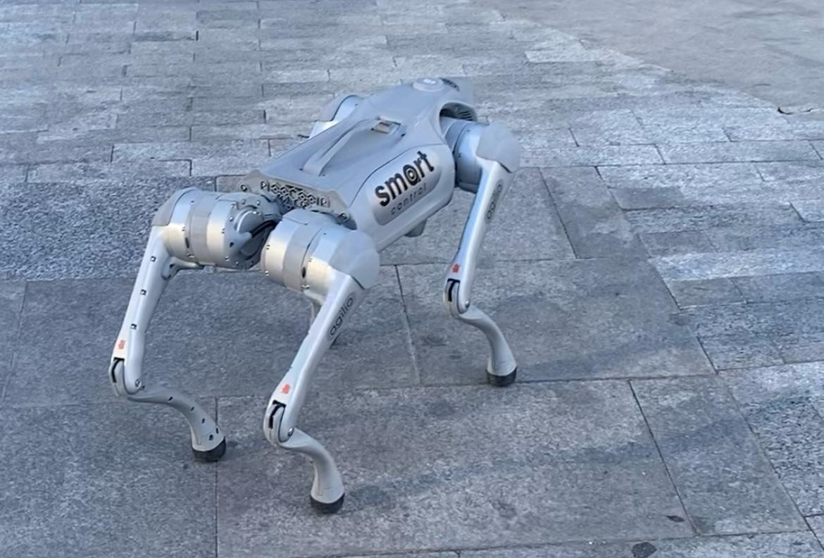 Bakıda robot it görənləri şoka saldı - VİDEO