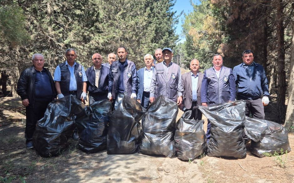 Məhv edilmiş yaşıllıq sahəsi bərpa olundu - FOTOLAR