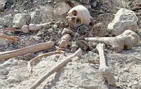 Binanın anbarında 3 nəfərin skeleti tapıldı