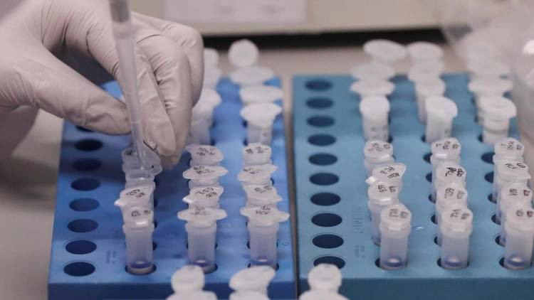 Çində 2 yeni virus aşkar edildi