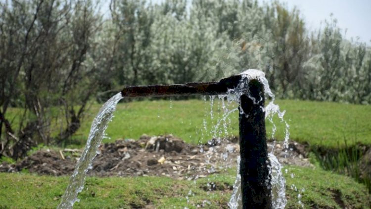 Dağıstanda sudan kütləvi zəhərlənmə&nbsp;