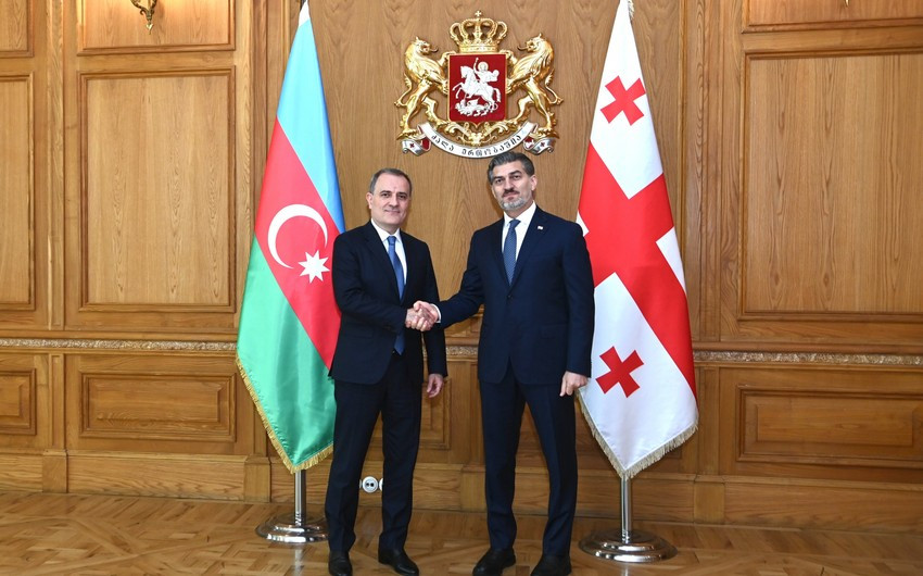 Ceyhun Bayramov Gürcüstan Prezidenti ilə görüşdü
