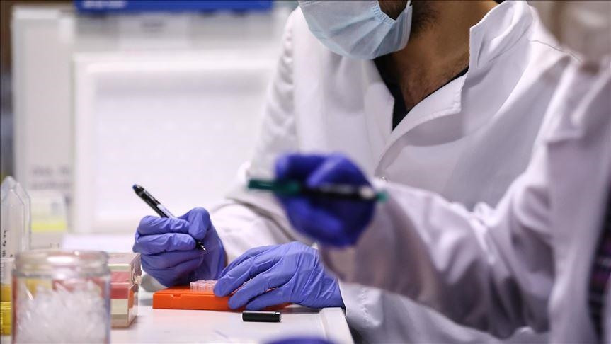 İngiltərədə yeni virus sürətlə yayılır