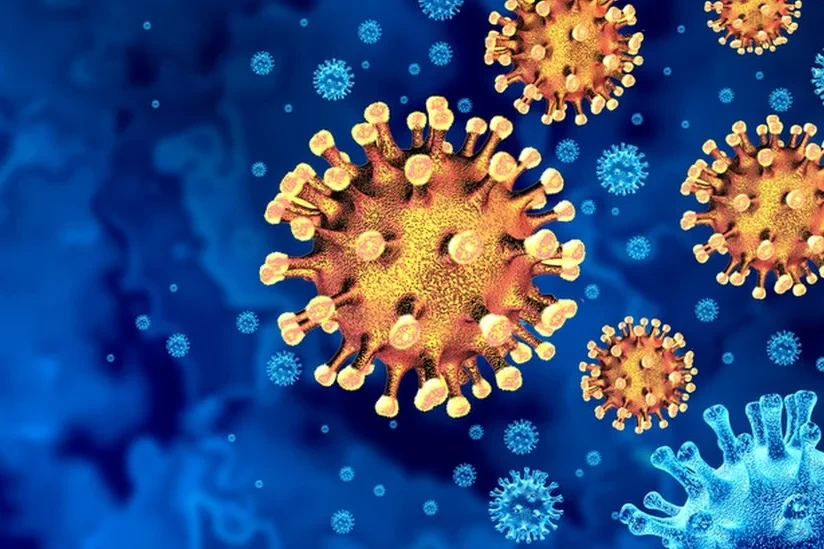 Bu ölkədə karantin rejimi tətbiq olunacaq - Yeni virus yayılır