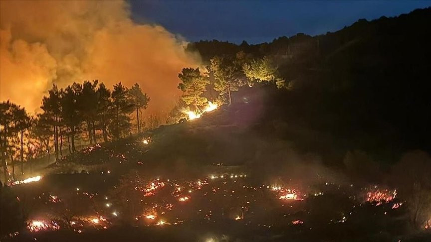 Türkiyədə daha bir bölgədə meşə yanğını