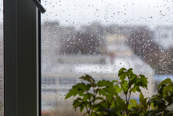 Nəyə görə tutqun hava əhvalımızı pozur? - Səbəbləri bəlli oldu