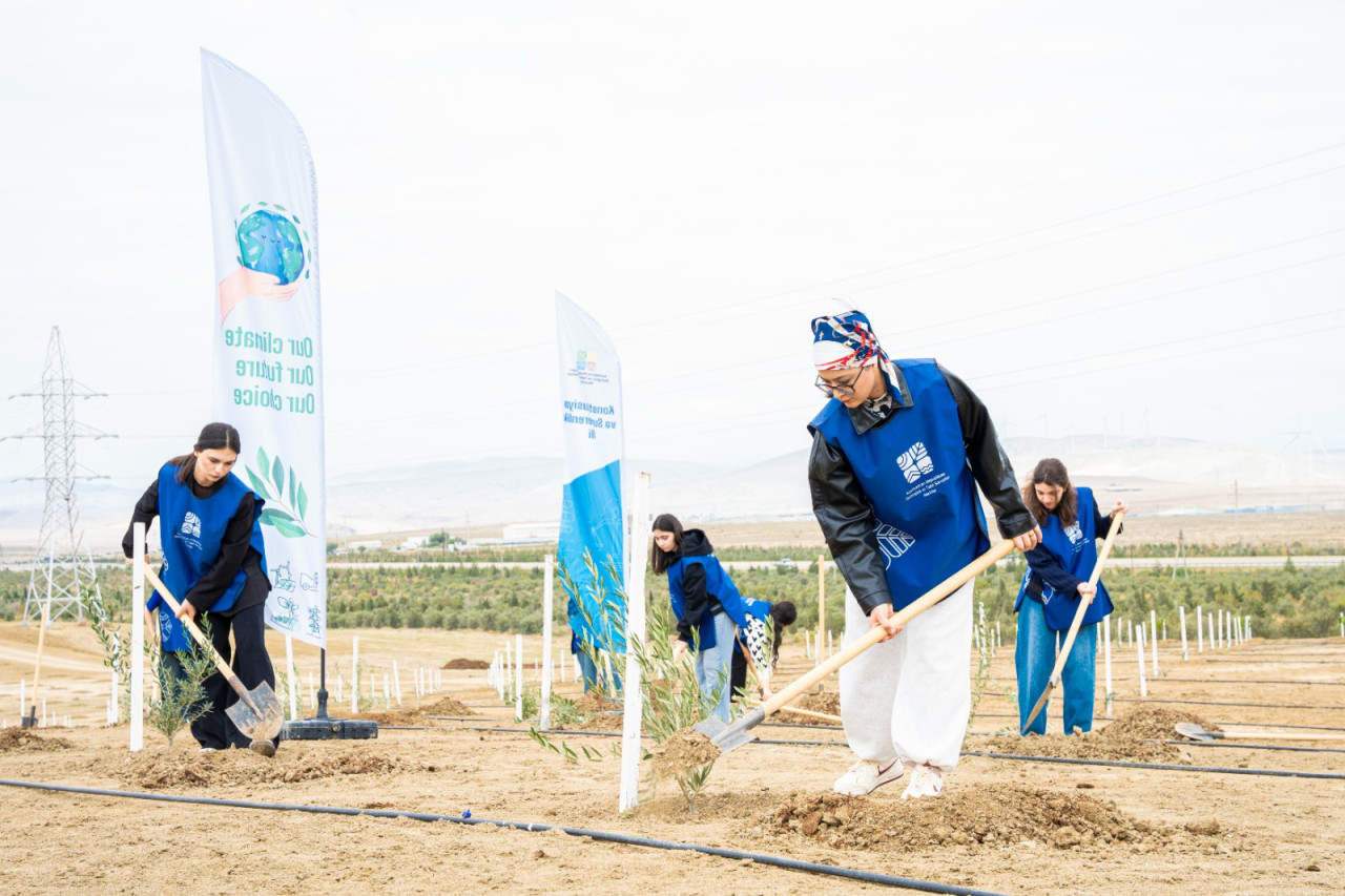 Ağacəkmə aksiyası keçirilib - FOTOLAR