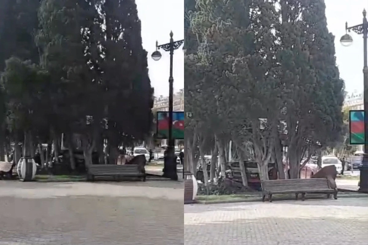 Bakının mərkəzində AĞIR QƏZA: Avtobus bulvara girdi - VİDEO