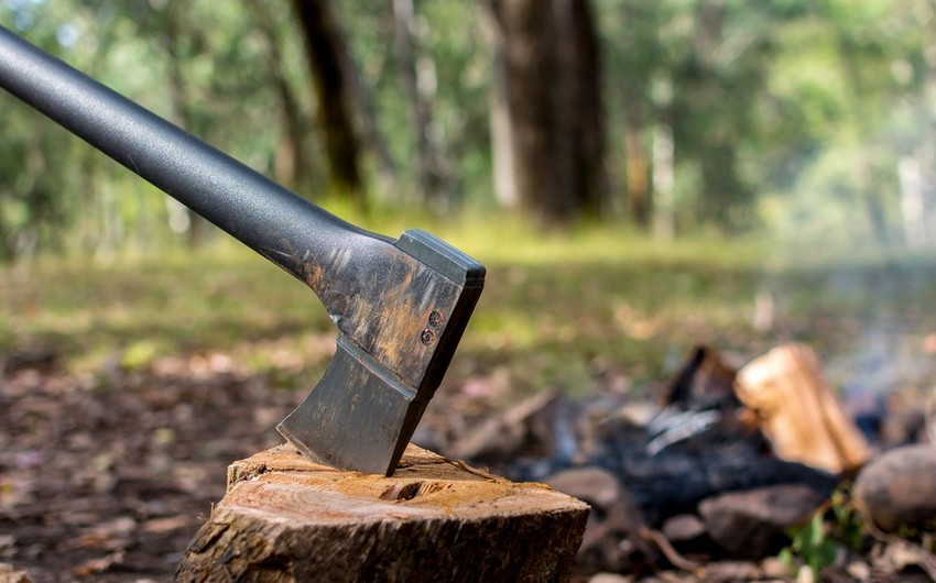 Bir neçə rayonda yaşıllıqlar məhv edildi