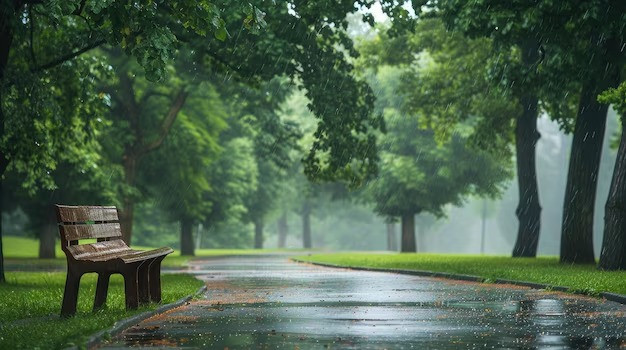 Sabah hava necə olacaq?