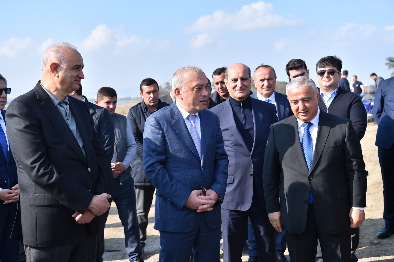 Zəfər Günü münasibətilə ADSEA ağacəkmə aksiyası keçirdi - Fotolar