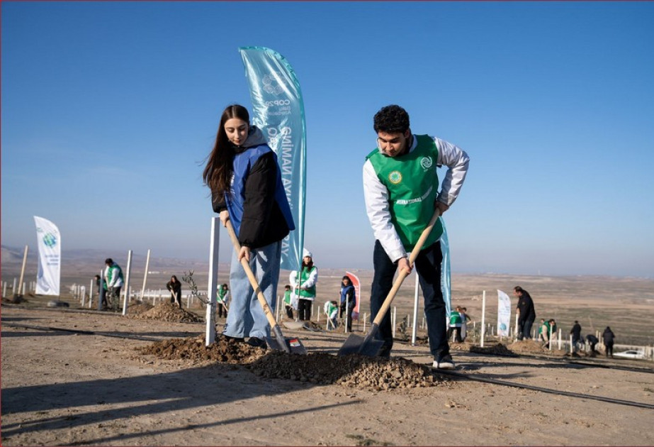 “Gələcəyə nəfəs!” aksiyası çərçivəsində 111 111 ağac əkiləcək