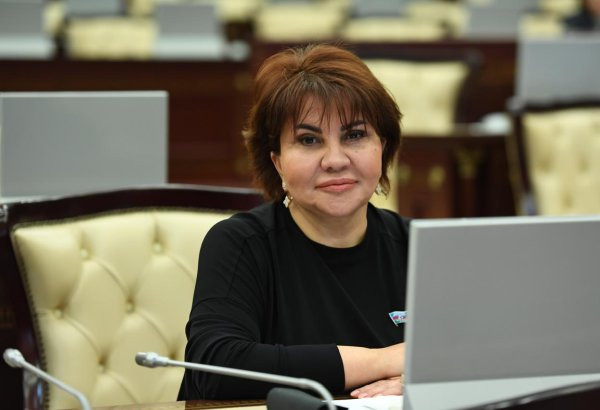 \"YAP Azərbaycan dövlətçiliyinin dayaqlarından birinə çevrilib\" - Afət Həsənova