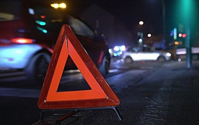 Goranboyda mikroavtobus heyvanlara çırpıldı