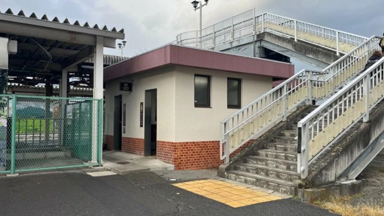 Yaponiyada ümumi tualetə ayı hücum etdi