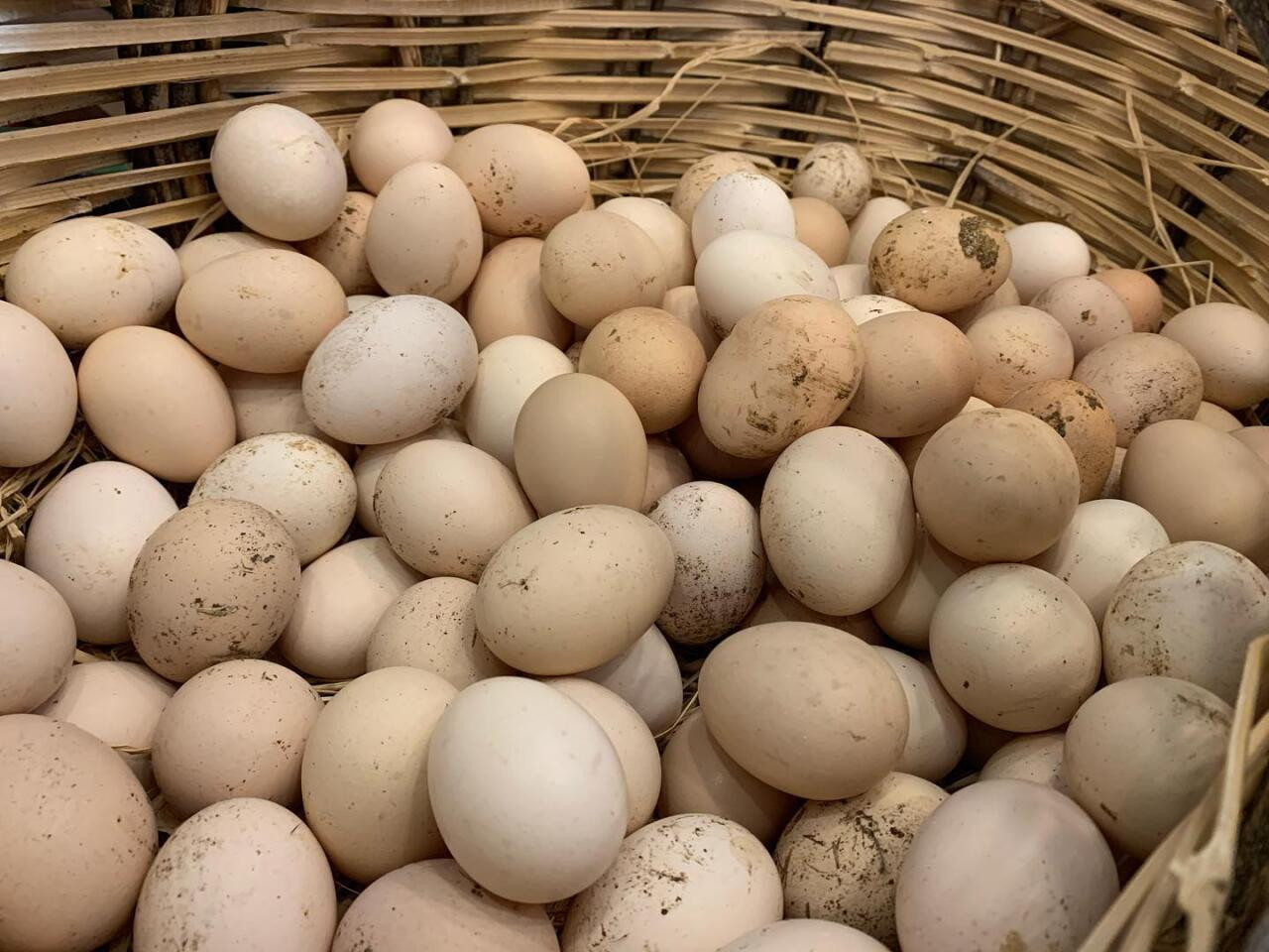 Kənd yumurtası kəskin BAHALAŞDI&nbsp;