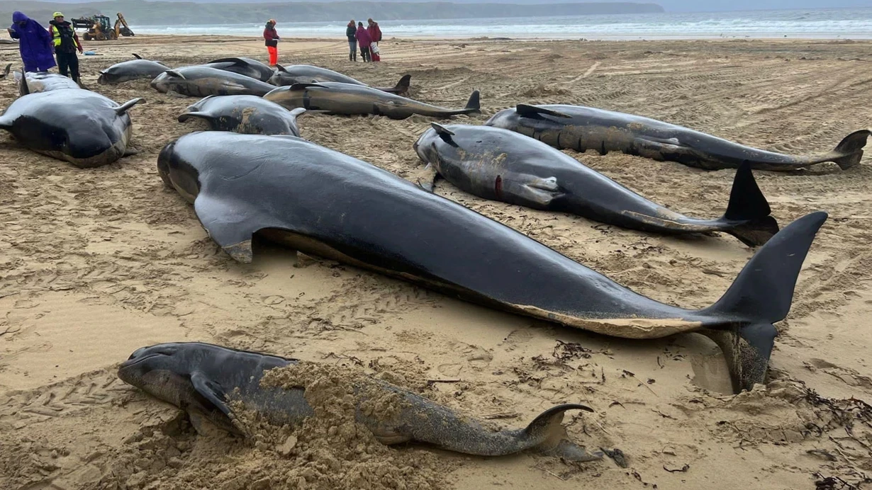 ABŞ dünyanı zəhərləyəcək - Canlılar və insanlar təhlükədə
