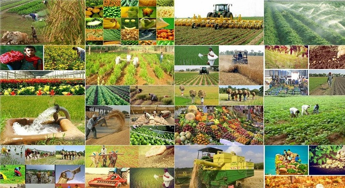 Azərbaycanın bölgələrində infrastruktur yatırımları - Sərmayə cəlbi ilə iqtisadi inkişaf&nbsp;