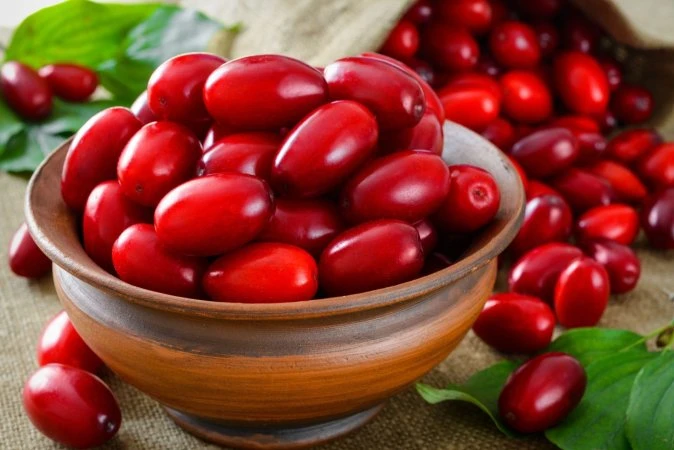 Zoğalın orqanizm üçün faydası