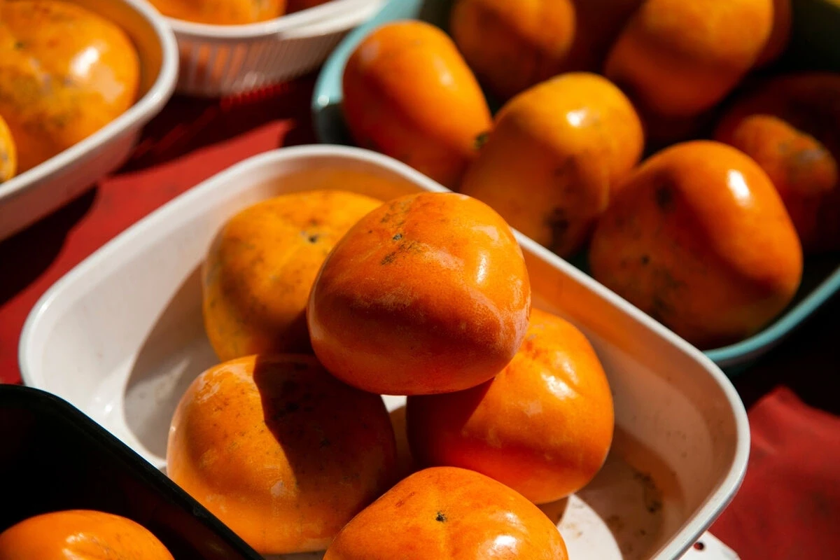 Dəmirlə ən zəngin qidalar