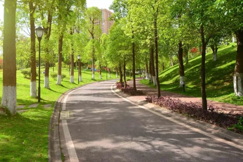 Azərbaycanda yeni park salınır - FOTO