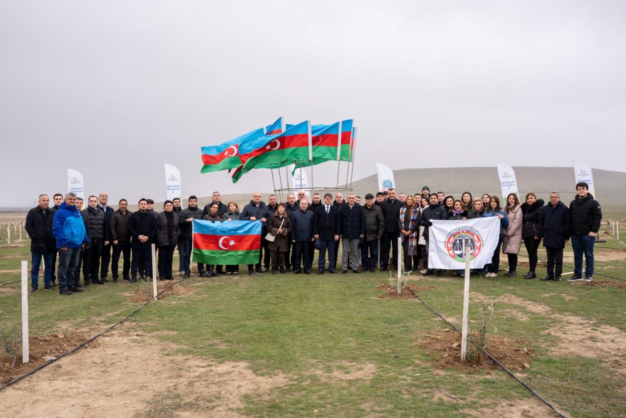 Ağacəkmə aksiyası keçirildi - FOTOLAR