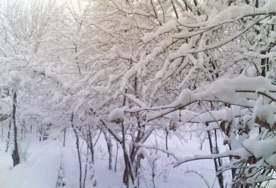 Ordubadda qar örtüyünün hündürlüyü 35 sm-ə çatdı