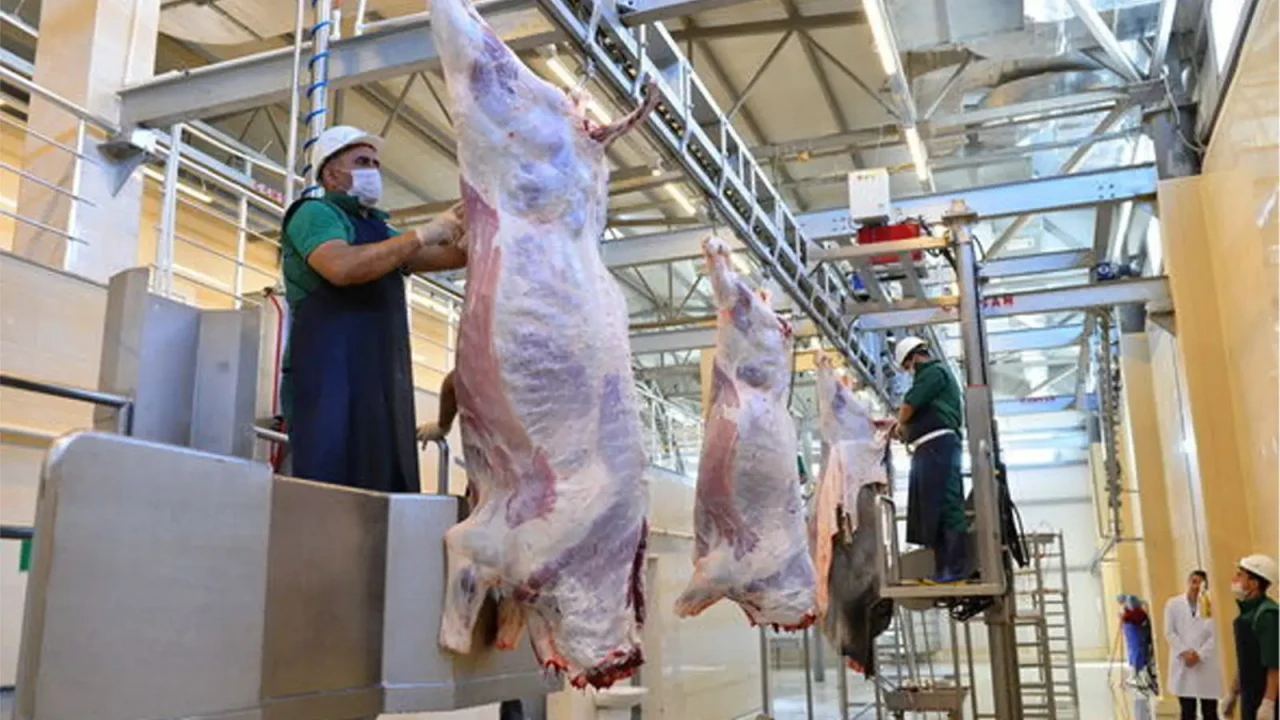 Ət bazarında canlanma - Qiymətlər ucuzlaşacaq?