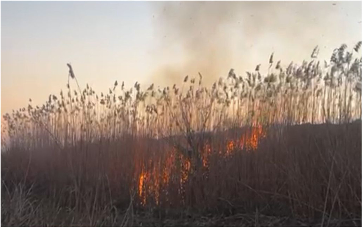 Cəbrayıl və Füzulidəki yanğınlar söndürüldü - VİDEO