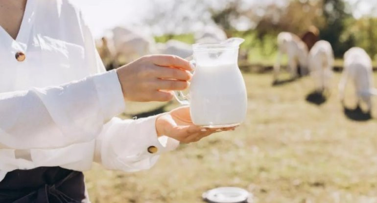 Çiy süd zəhərləyir?