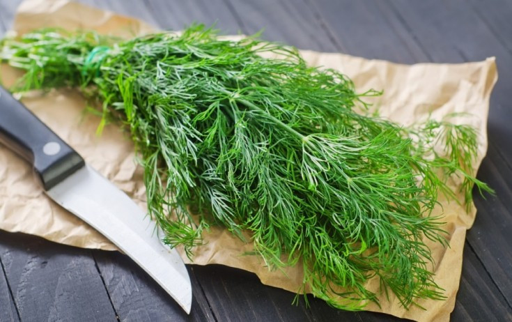 Bu içki sizi arıqladacaq