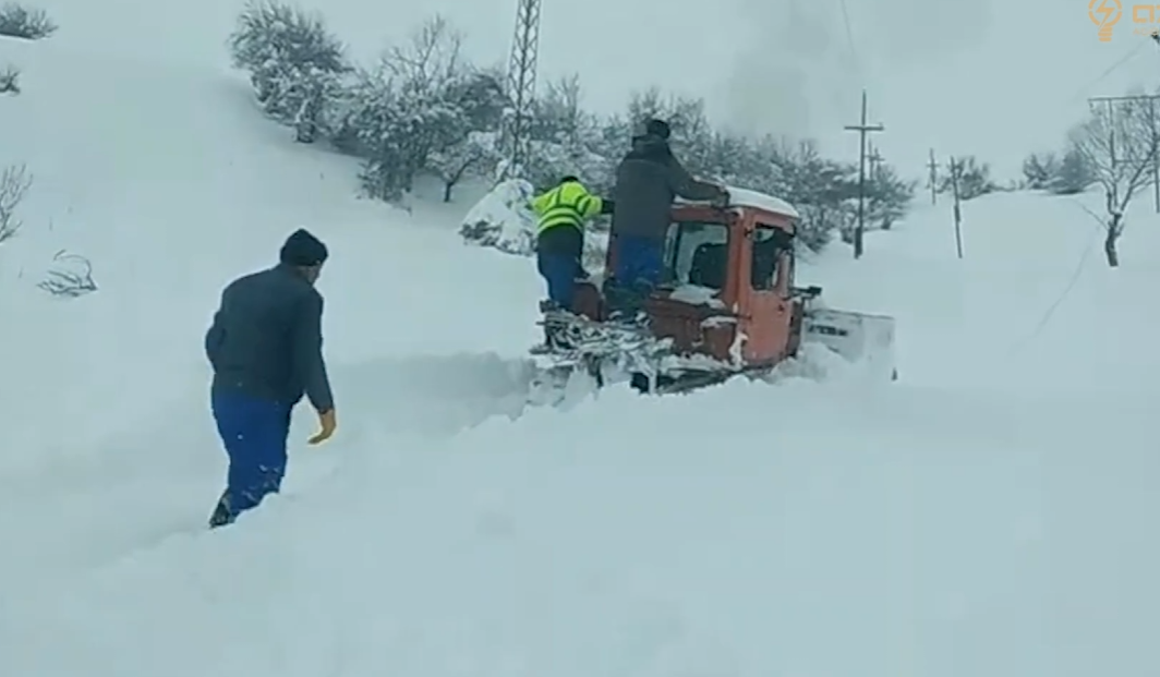 Güclü qar cənubda fəsadlar törətdi:&nbsp;“Azərişıq” fasiləsiz işləyir - VİDEO