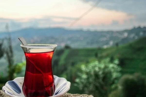 Hansı çay daha sağlamdır? - Soyuq, yoxsa isti?