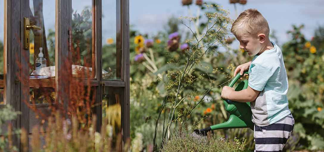 Uşaqlar ictimai birliklər yarada bilər