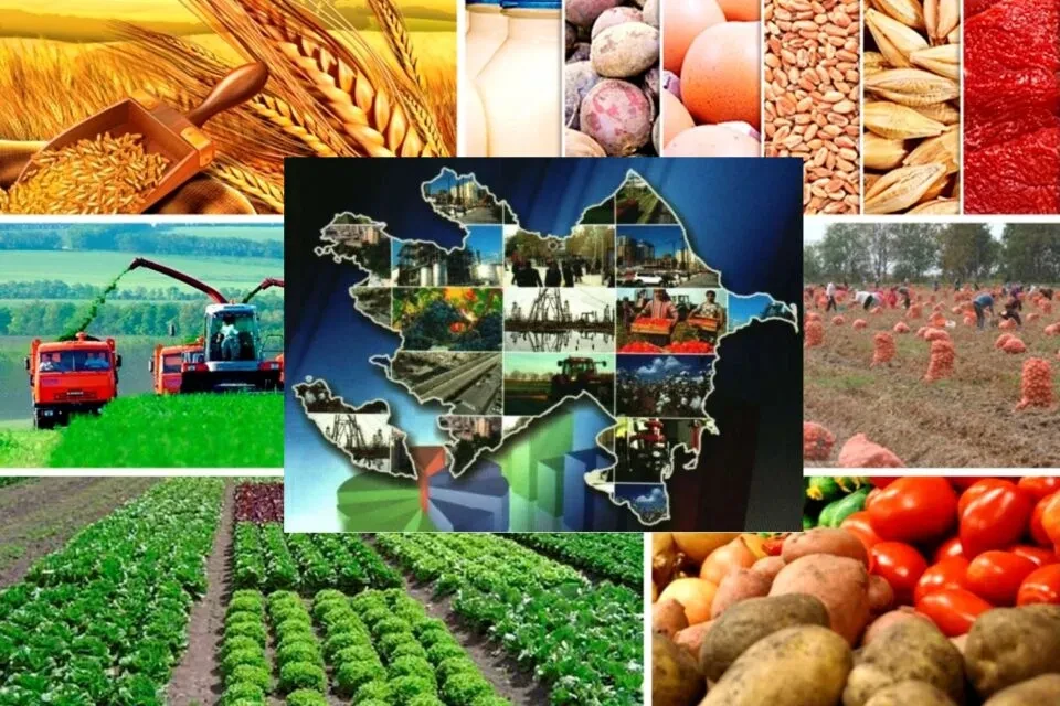 Liberal iqtisadiyyatın inkişafı - Azərbaycanda investisiya cəlbediciliyinin artışı