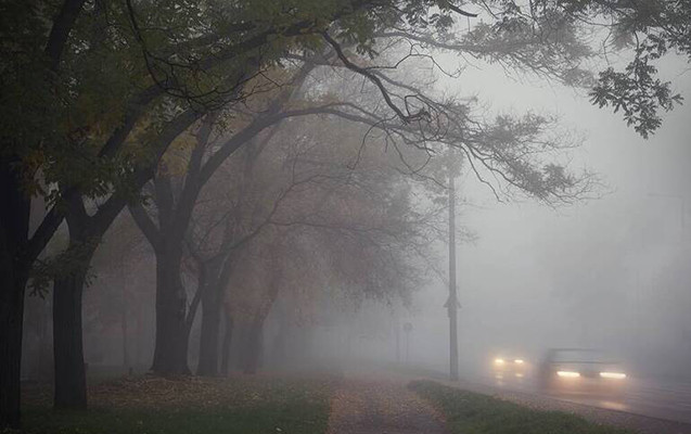 Bu ərazilərdə duman var - FAKTİKİ HAVA