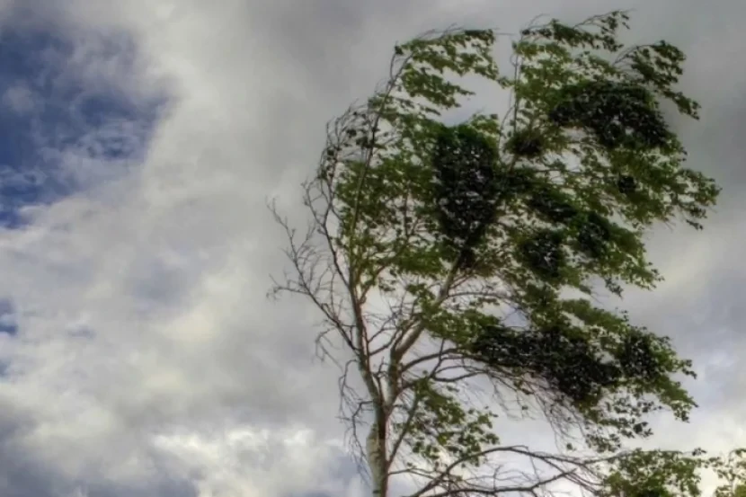 Bu rayonlarda güclü külək əsir - FAKTİKİ HAVA