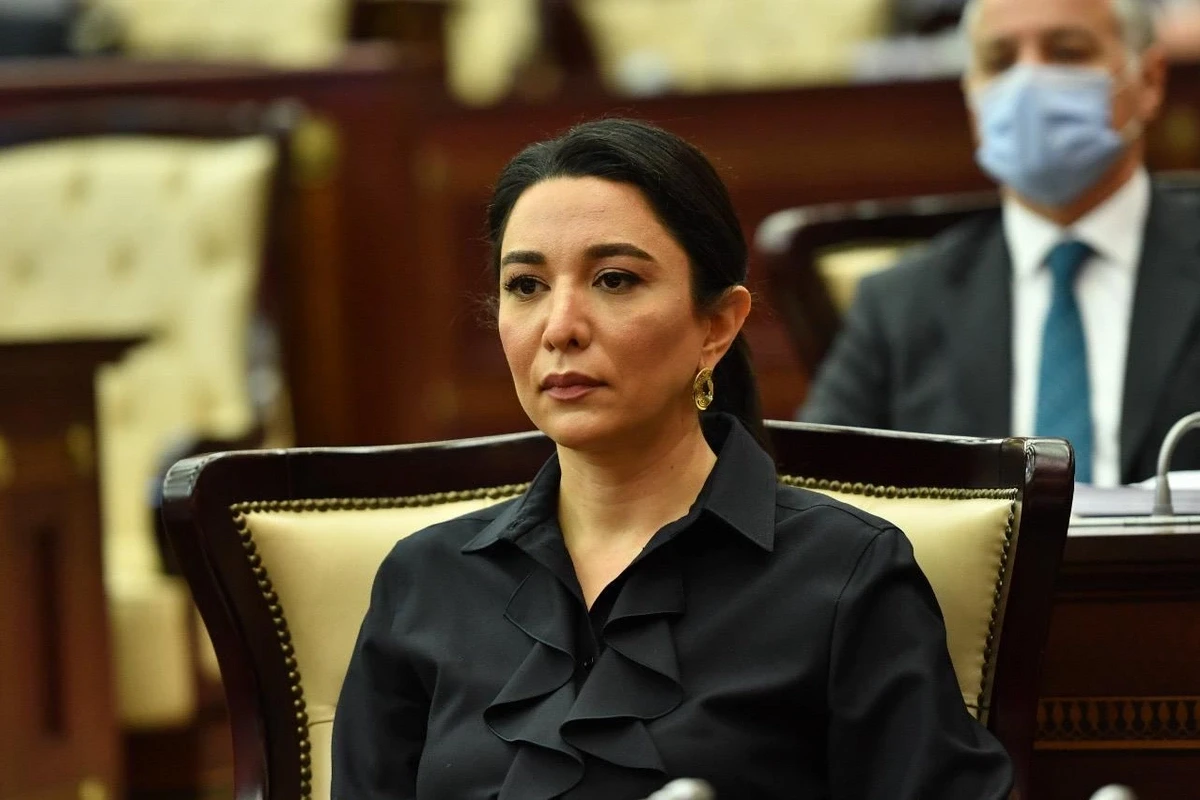 Ombudsmandan \"İdrak\"dakı insidentə REAKSİYA