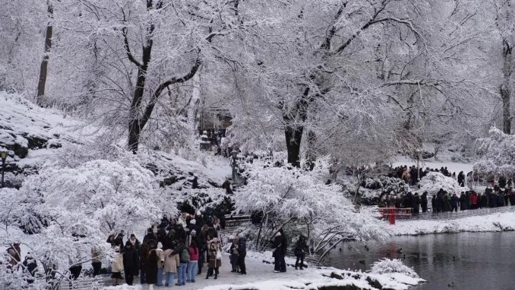 Nyu-Yorkda 18 nəfər soyuqdan donaraq öldü