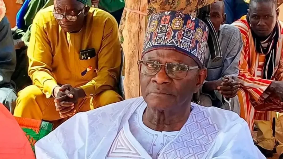 Almaniyadan olan keçmiş baş həkim Nigerdə kral seçildi