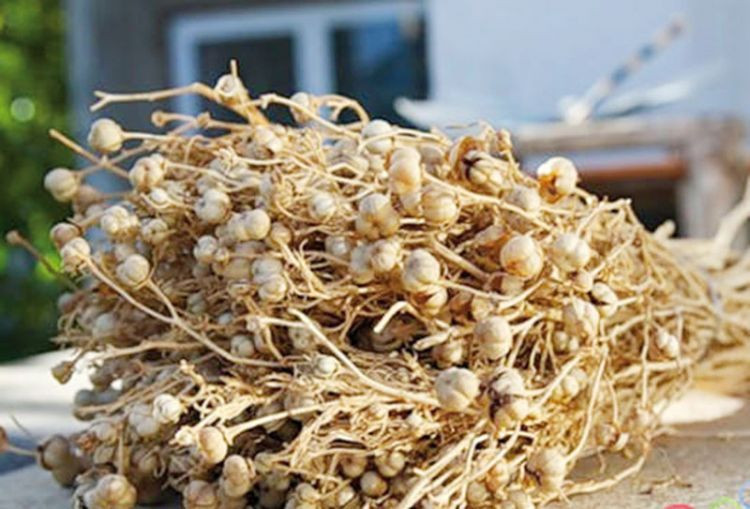 Üzərliklə bağlı daha bir XƏBƏRDARLIQ 