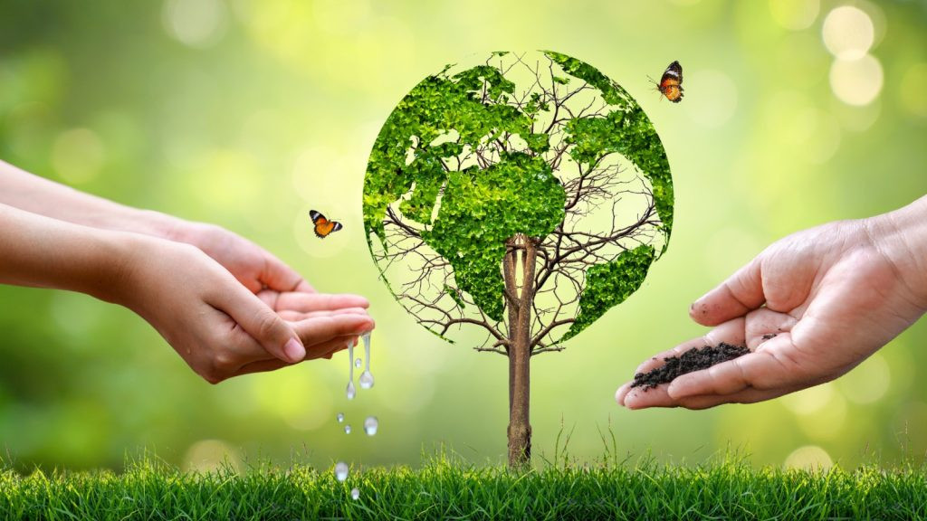 Ətraf mühitin qorunması - Gələcəyə ən böyük yatırım