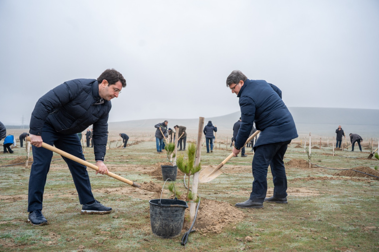 Xocalı soyqırımı qurbanlarının xatirəsinə həsr olunmuş ağacəkmə aksiyası keçirilib&nbsp;