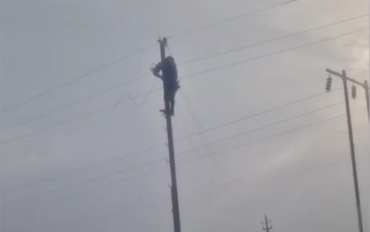 “Azərişıq” güclü küləyin yaratdığı fəsadları aradan qaldırır - VİDEO